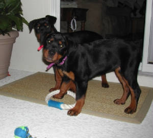 Family-Photos/Picture_036a.jpg