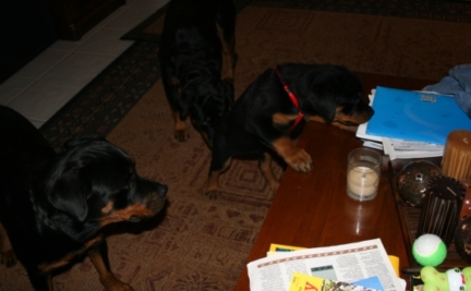 Family-Photos/IMG_0866.JPG