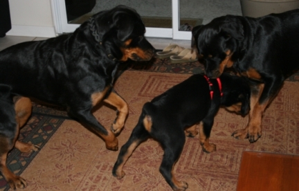 Family-Photos/IMG_0981.JPG