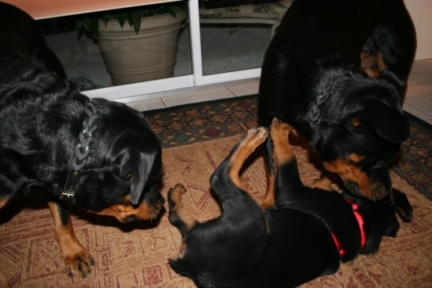 Family-Photos/IMG_0981.JPG