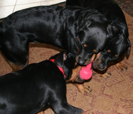 Family-Photos/IMG_0981.JPG