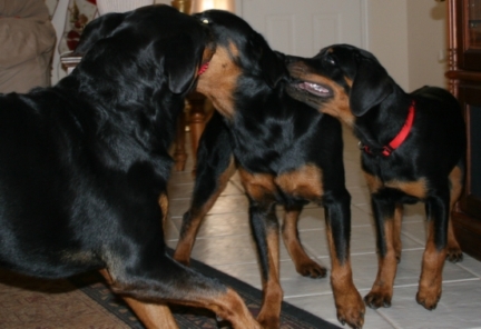 Family-Photos/IMG_1135.JPG