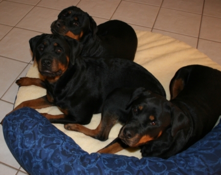 Family-Photos/Picture_003.jpg