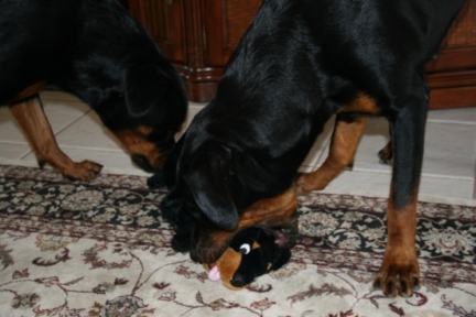 Family-Photos/Picture_003.jpg
