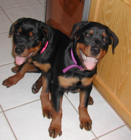 Family-Photos/Picture_003.jpg