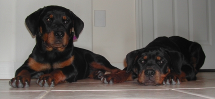 Family-Photos/Picture_006.jpg