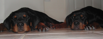 Family-Photos/Picture_006.jpg