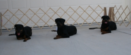 Family-Photos/Picture_006d.jpg