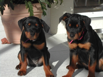 Family-Photos/Picture_006d.jpg