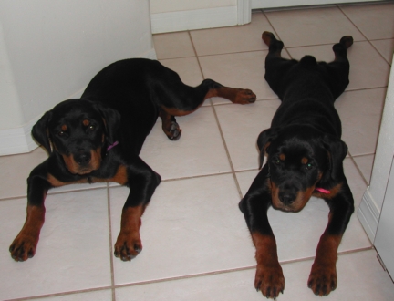 Family-Photos/Picture_006d.jpg