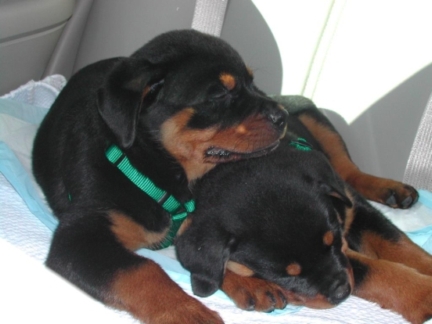 Family-Photos/Picture_036a.jpg