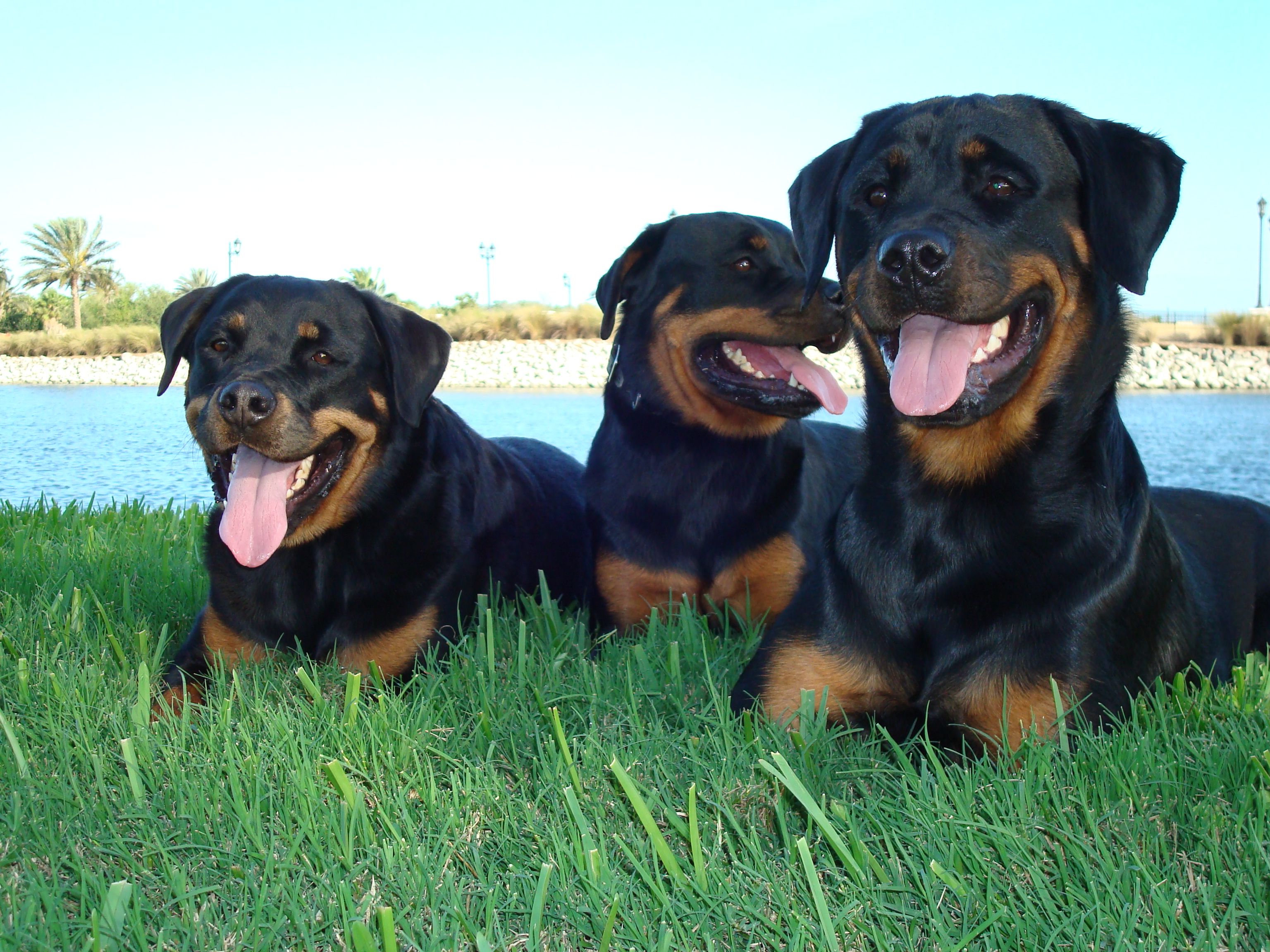 Family-Photos/Picture_036a.jpg