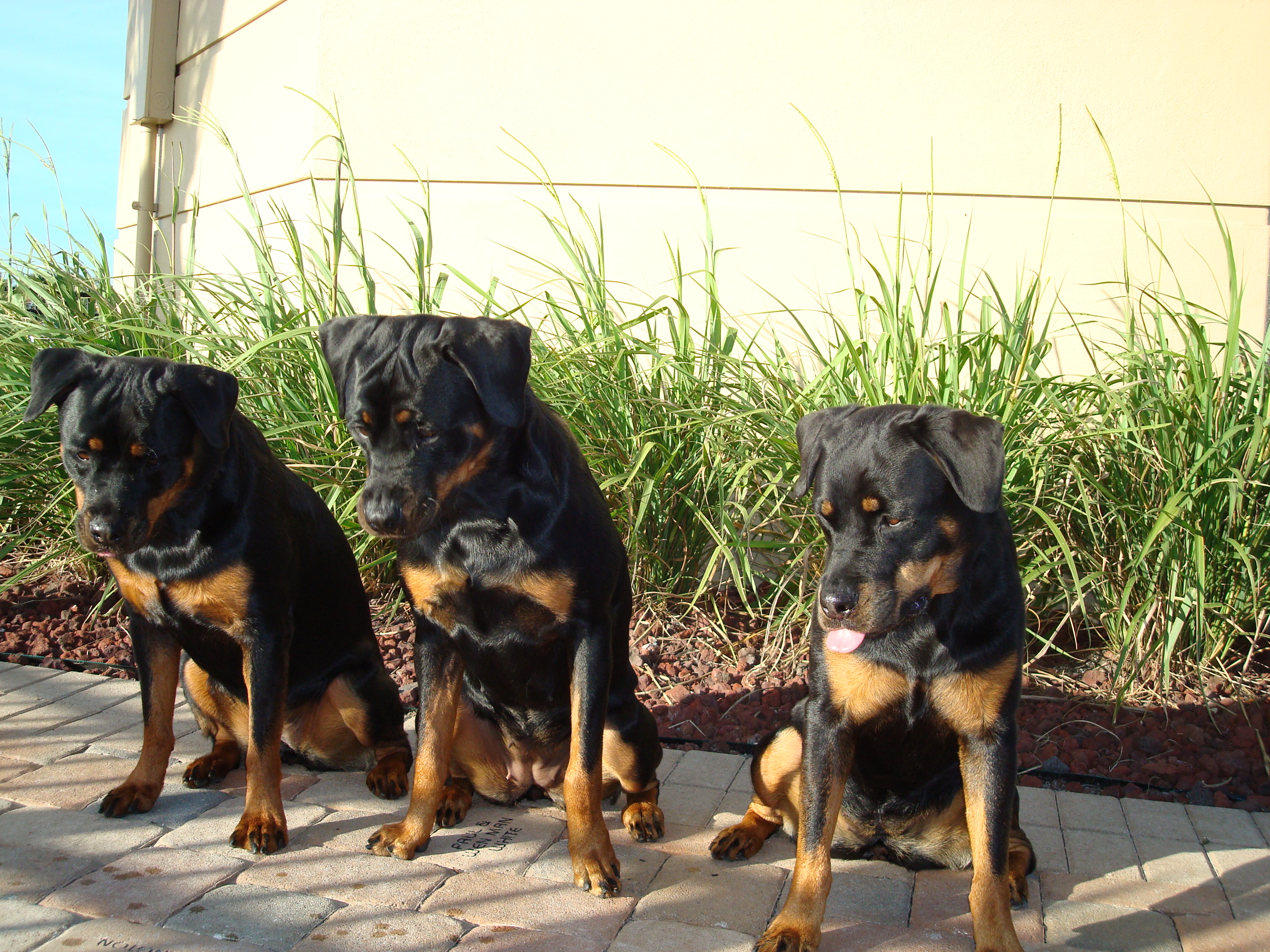 Family-Photos/Picture_049.jpg