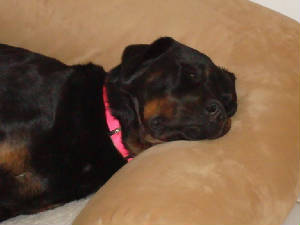 Grace/DSC02482.JPG