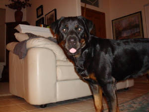 Grace/DSC02482.JPG
