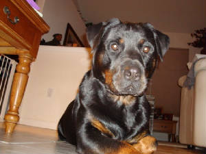 Grace/DSC02482.JPG