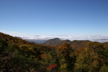 IMG_0841.JPG