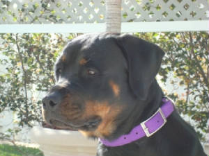 Lexis/DSC00187.JPG