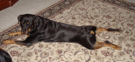 Lexis/DSC00197.JPG
