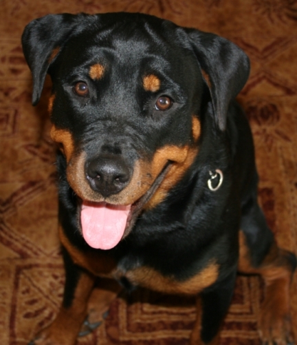 Lexis/IMG_0630.JPG