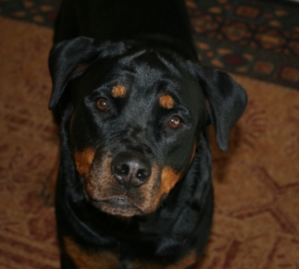 Lexis/Picture_004b.jpg