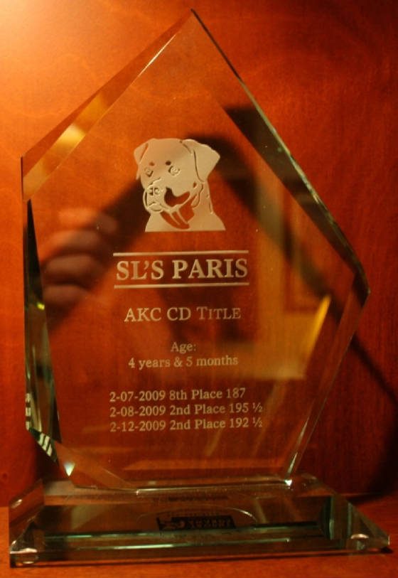 Paris-Trials/Paris_SUM8.jpg