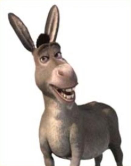 Paris/donkey05.jpg