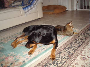 SAV2/DSC02098.JPG