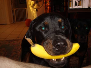 SAV2/IMG_1524.JPG