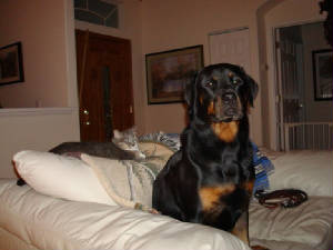 SAV2/IMG_1120.JPG