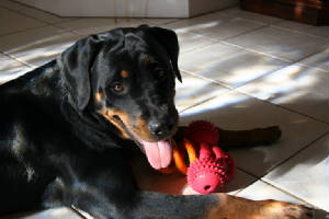 SAV2/IMG_1120.JPG