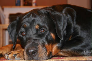 SAV2/IMG_1524.JPG