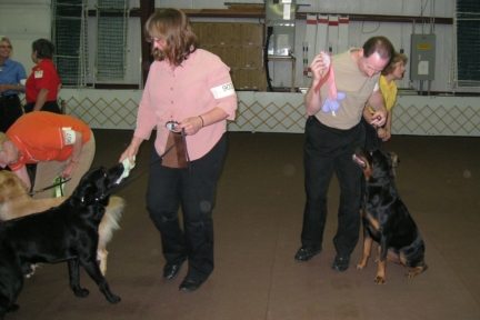 Sav-Trials/IMG_0510_0151_235.jpg