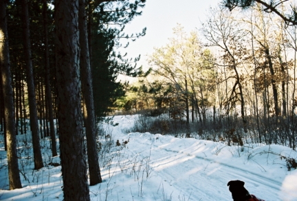 Wisc-Vac/558632-R1-12-19A_013.jpg