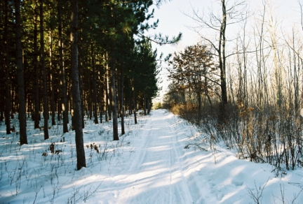 Wisc-Vac/558632-R1-12-19A_013.jpg