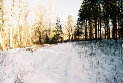 Wisc-Vac/558632-R1-10-13A_011.jpg
